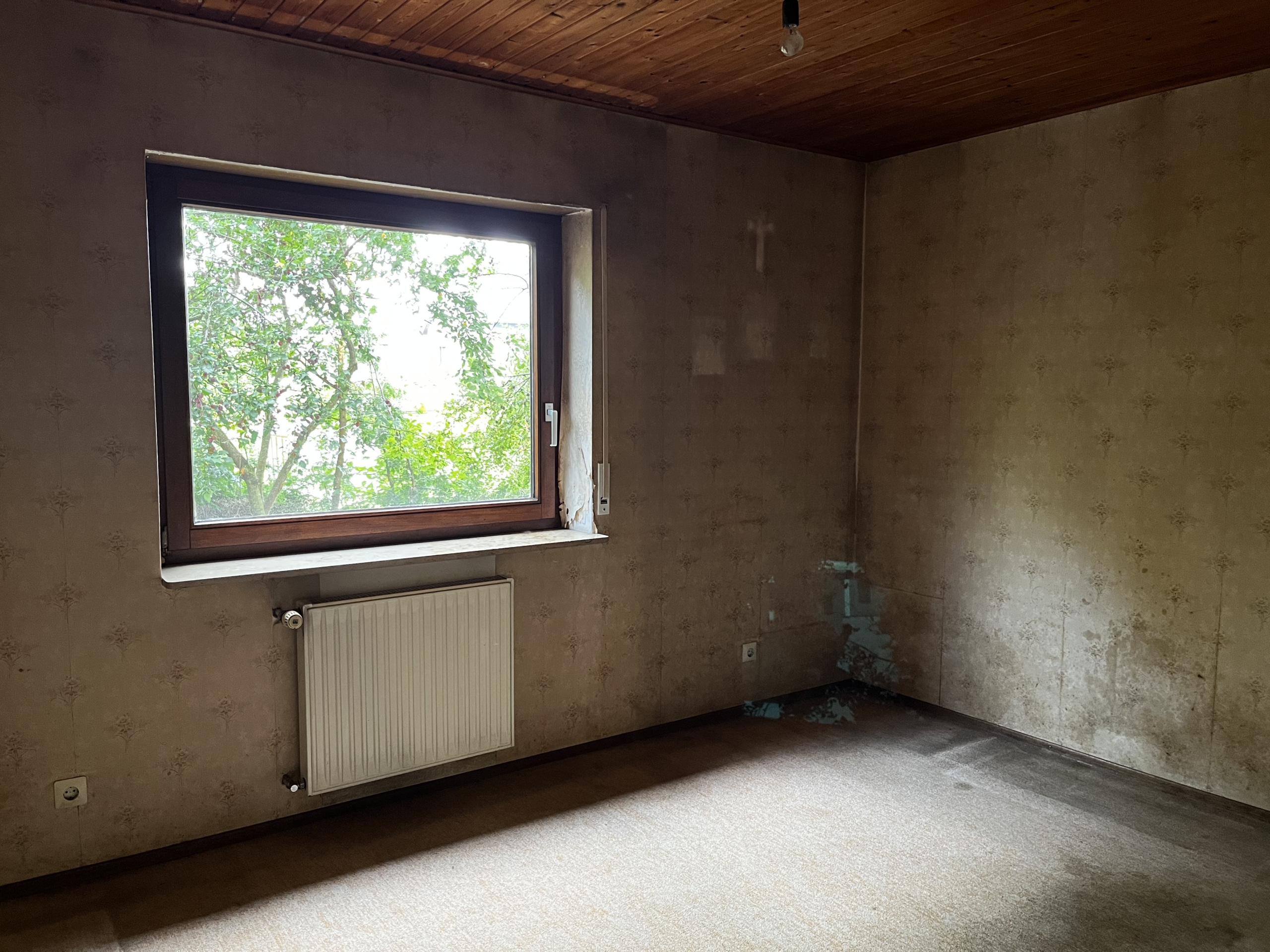 EG: weiteres Zimmer 1